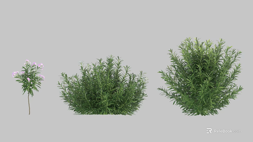Different Types Of Green Shrubs Featuring Purple Flowers And Dense Foliage 3d model 