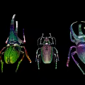 Vibrant Colored Reptiles With Horned Structures Unique Shapes And Bright Hues