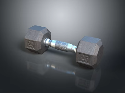 Sturdy 25 Pound Hexagon Dumbbell With Textured Handle And Metal Plates 3d model