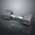 Sturdy 25 Pound Hexagon Dumbbell With Textured Handle And Metal Plates