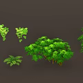 Different Types of Green Plants Featuring Bushes Vines Ferns and Lush Green Leaves