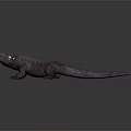 Vibrant Purple and Pink Lizard with Patterned Skin 3D Model on Gray Background