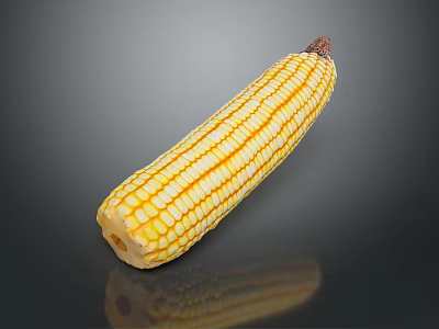 Fresh Yellow Corn Cob with Vibrant Kernels on Dark Reflective Surface 3d model