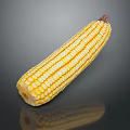 Fresh Yellow Corn Cob with Vibrant Kernels on Dark Reflective Surface