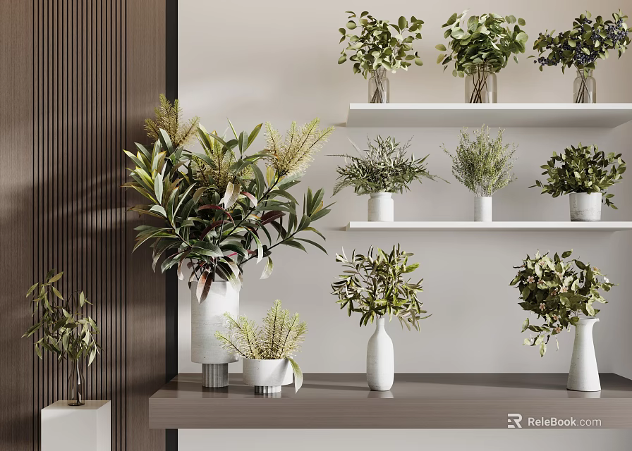 Various Green Plants in White Vases on Shelves and Tabletop Modern Interior Decor 3d model 