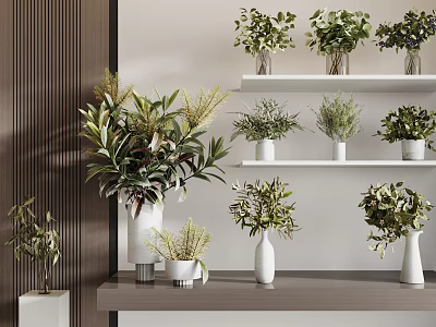 Various Green Plants in White Vases on Shelves and Tabletop Modern Interior Decor 3d model