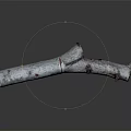 Natural Wood and Stone Log with White Red Spots and Detailed Textured Surface