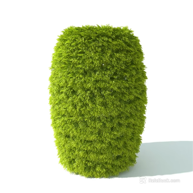 Green Trimmed Shrub With Rounded Shape And Lush Dense Healthy Foliage 3d model 