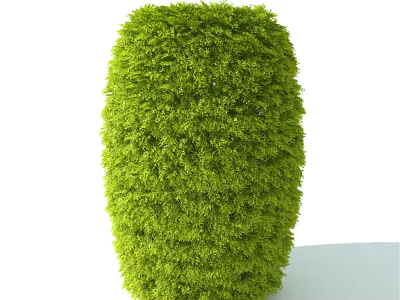 Green Trimmed Shrub With Rounded Shape And Lush Dense Healthy Foliage 3d model