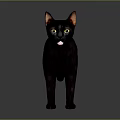Black Cat Standing With Yellow Eyes And Shiny Fur Against Gray Background