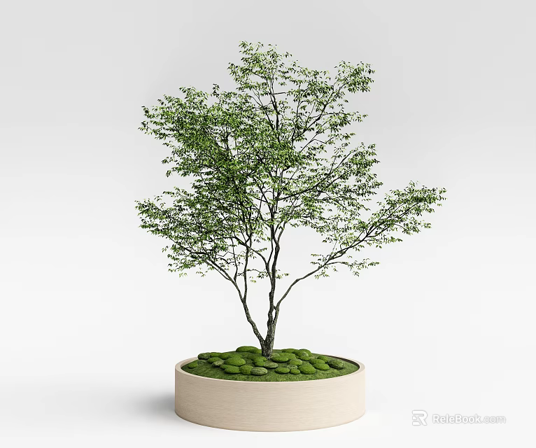 Green Leafy Arbor with Black Trunk in Light Colored Round Planter with Moss 3d model 