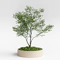 Landscape tree arbor 3d model