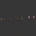 Decorative Antlers In Three Different Colors Light Brown Dark Brown Pink On Gray Gradient Background