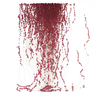 Red Hanging Small Flower Vines Decorative Ornament Set With White Background 3d model