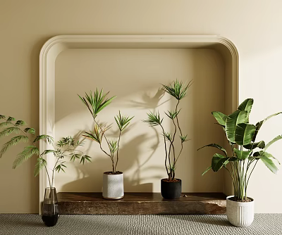 Bonsai Potted Plants in Arch Niche on Wooden Shelf with Various Colored Pots 3d model
