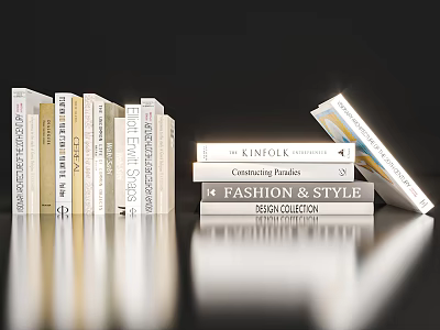 Stylish Fashion Style Books And Magazines With KINFOLK Category Faciles Spring Collection 3d model