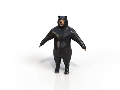 Realistic Standing Black Bear Model with Shiny Fur and White Background 3d model