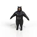 Realistic Standing Black Bear Model with Shiny Fur and White Background
