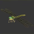Green Headed Dragonfly With Yellow Green Striped Body And Transparent Wings On Dark Background