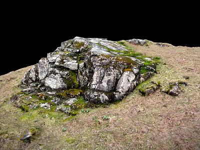 Natural Outdoor Scene With Moss Covered Stones And Wooden Elements On Grassland 3d model