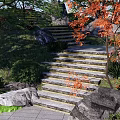 Garden Landscape Featuring Stone Steps Red Leaf Trees Rocks Green Plants And Grass 3d model
