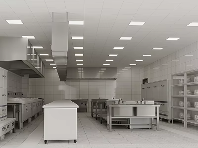 Commercial Kitchen With Stainless Steel Appliances Ventilation Hood Worktables And Storage Cabinets 3d model