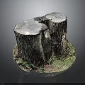 Wooden Stone Tree Stumps with Rustic Bark Texture Natural Cross Sections and Grass Base