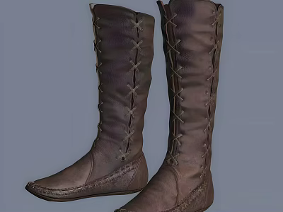 Brown Leather Tall Boots With Classic Lace Up Design And Flat Sole 3d model