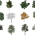 The Modern Tree 3d model
