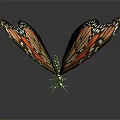 Vibrant Butterfly With Orange And Black Wings Featuring Detailed White Spots And Spread Wings