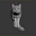 Gray Long Haired Cat With White Paws And Pink Nose Standing On Black Reflective Background