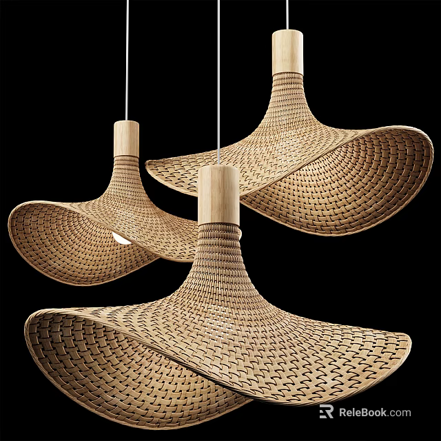 Modern Woven Pendant Lights with Rattan Fan Shaped Design for Contemporary Interior Spaces 3d model 
