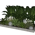 Modern Tree Planter With Lush Green Plants Large Leaves White Flowers And Decorative Lights