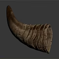 Cow Horn With Natural Texture And Curved Shape On White Background