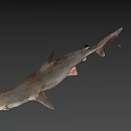 Detailed Realistic Shark 3D Model With Lifelike Features On Gray Background