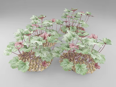 Lush Clustered Flowers And Plants With Green Pink Leaves On Pebble Base 3d model