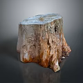 Natural Wooden Tree Stump Decor Piece With Rough Surface And Wood Grain Texture