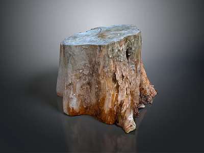 Natural Wooden Tree Stump Decor Piece With Rough Surface And Wood Grain Texture 3d model