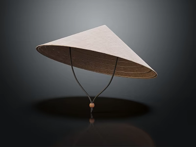 Modern Hat Straw Hat 3d model