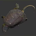 Turtle Cartoon Turtle Snapping Turtle Chickbill Turtle Reptile Cold Blooded Animal Reptile Class 3d model