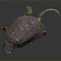 Turtle Turtle Cartoon Turtle Snapping Turtle Chickbill Turtle Reptile Cold Blooded Animal Reptile Reptile Class 3d model