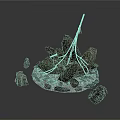 Wood And Stone Fire Pit Structure With Circular Base Irregular Blocks And Central Pole