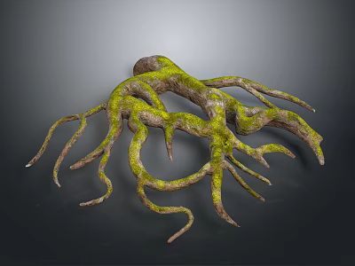 Detailed Tree Roots Covered In Vibrant Green Moss With Curved Branches 3d model