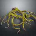 Detailed Tree Roots Covered In Vibrant Green Moss With Curved Branches