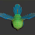 Vibrant Green Parrot With Orange Belly And Blue Wings Standing On Black Background