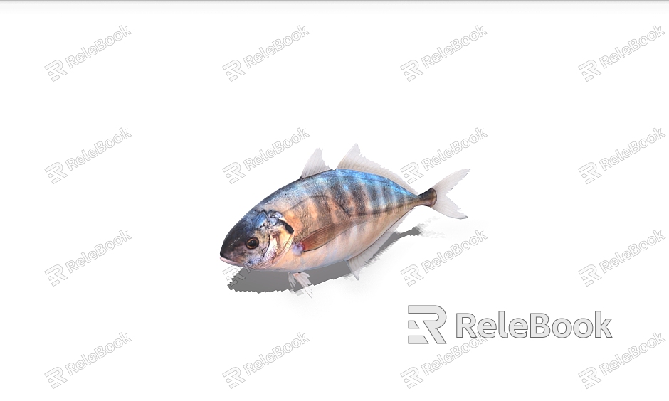 fish marine fish ornamental fish marine life model