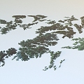 A bird's eye view of the mountains 3d model