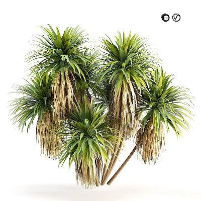 Decorative Garden Plants With Lush Green Leaves And Brown Fronds For Outdoor Decor 3d model