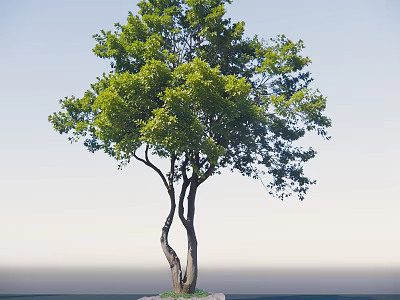 Arbor With Lush Green Leaves Forked Trunk And Stone Base Against Blue Sky 3d model