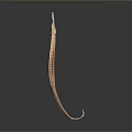 Slender Brown Striped Aquatic Animal With Curved Body And Reflective Surface On Gray Gradient Background
